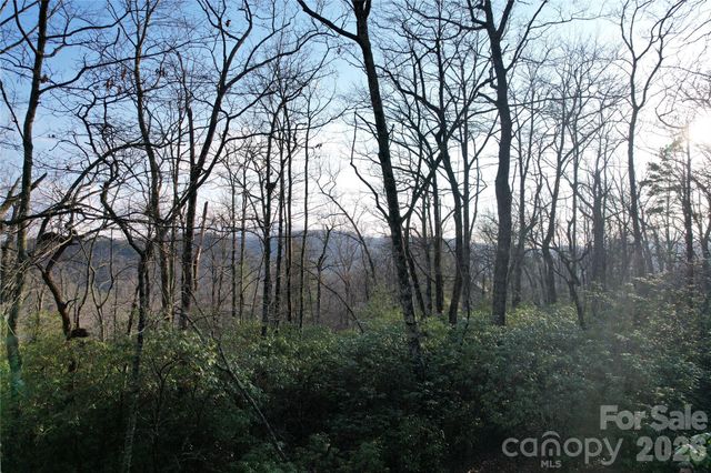 TBD Laurel Thicket Lane, Brevard, NC 28712