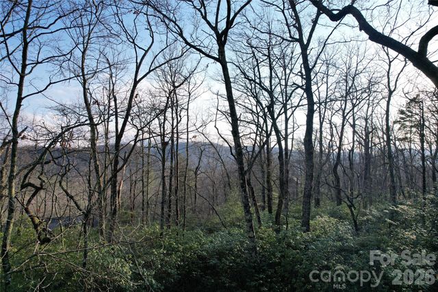 TBD Laurel Thicket Lane, Brevard, NC 28712