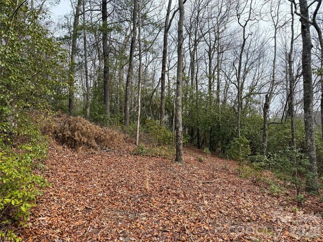 TBD Laurel Thicket Lane, Brevard, NC 28712