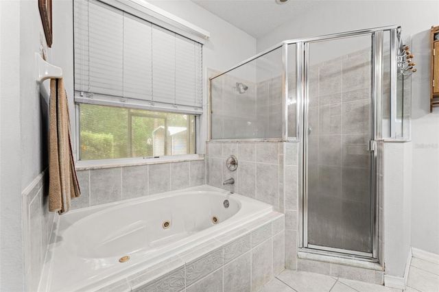 1900 GRIFF WOOD CT COURT, St Cloud, FL 34772