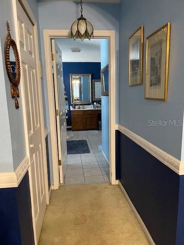 2834 PANKAW LANE, Valrico, FL 33596