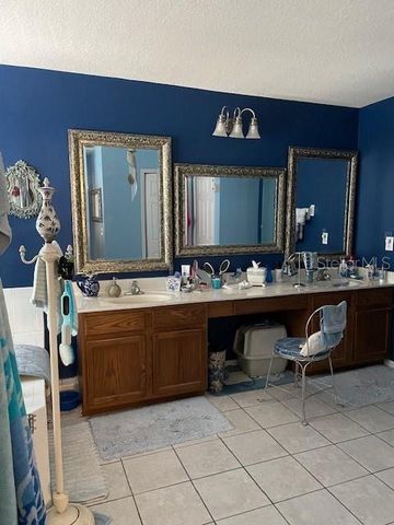 2834 PANKAW LANE, Valrico, FL 33596