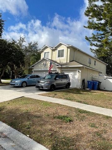 2834 PANKAW LANE, Valrico, FL 33596