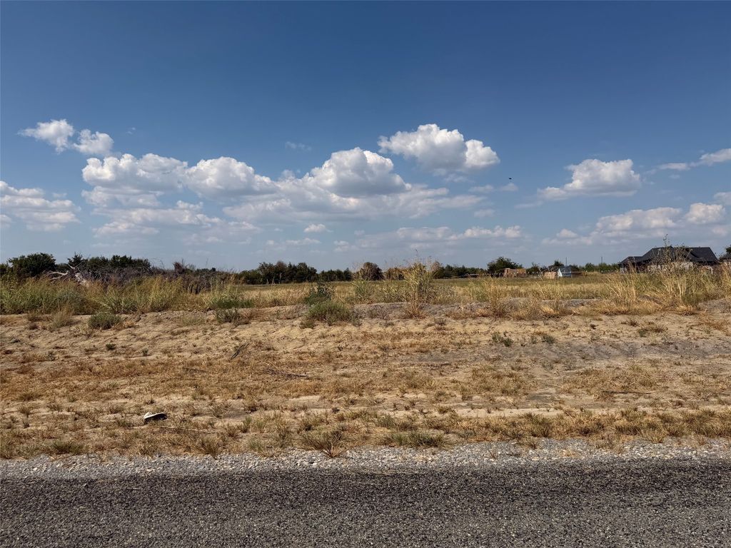 Lot 19 Co Rd 1110, Farmersville, TX 75442