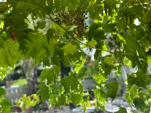 7332 Stonedale Dr, Pleasanton, CA 94588