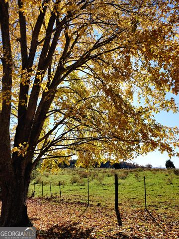 1419 County Road 480, Woodland, AL 36280