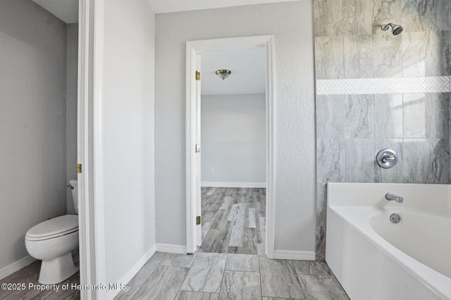 11169 Claymore Street, Spring Hill, FL 34609