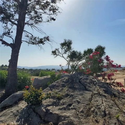 39220 Gray Squirrel, Temecula, CA 92592