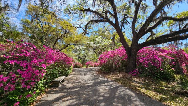 50 Turning Stone Blvd Unit 8, Murrells Inlet, SC 29576
