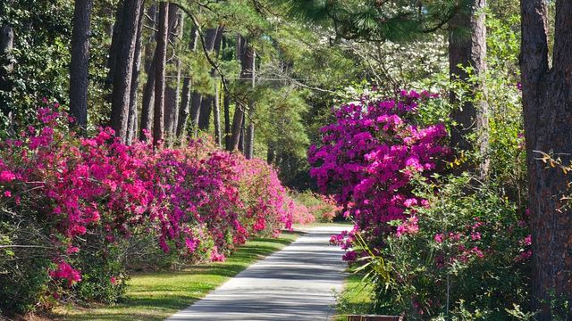 50 Turning Stone Blvd Unit 8, Murrells Inlet, SC 29576