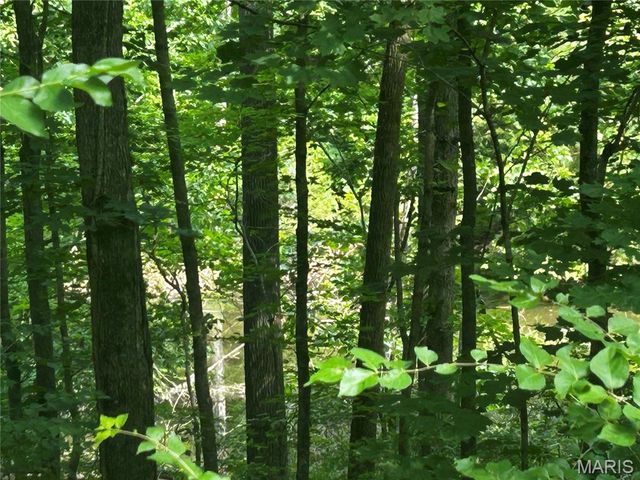 620 Crooked Creek Lane, Eureka, MO 63025