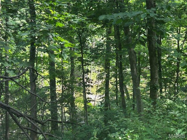 620 Crooked Creek Lane, Eureka, MO 63025