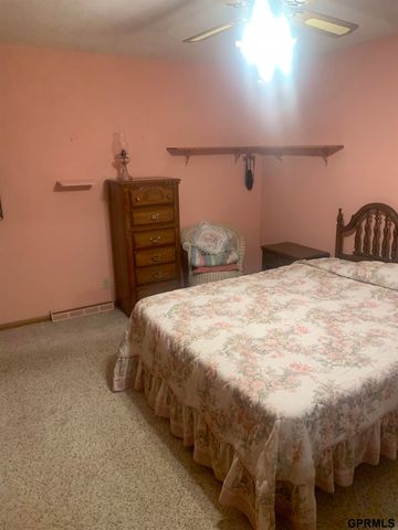 1660 10 County Road, Lyons, NE 68038