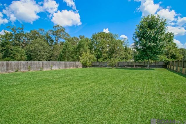 34233 Hawks Cove, Denham Springs, LA 70706