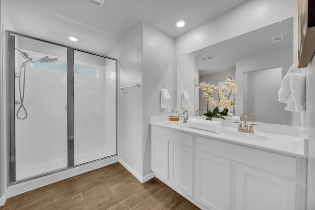 19624 Caroline Harrison ST, Manor, TX 78653