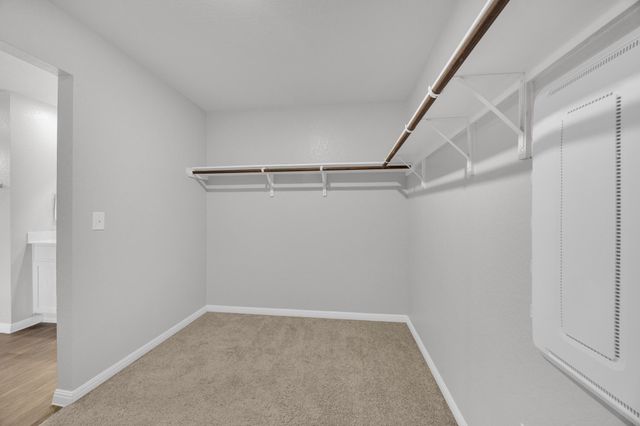 19624 Caroline Harrison ST, Manor, TX 78653