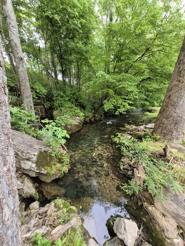 2203 Stones River Rd, Woodbury, TN 37190