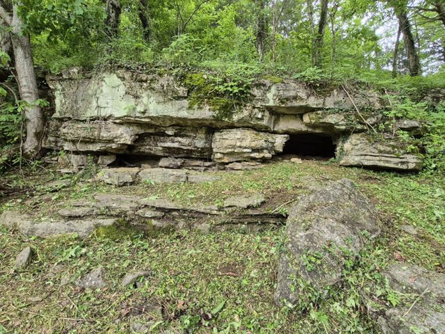 2203 Stones River Rd, Woodbury, TN 37190