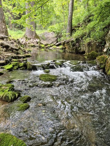 2203 Stones River Rd, Woodbury, TN 37190