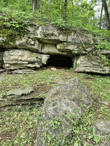 2203 Stones River Rd, Woodbury, TN 37190