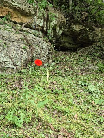 2203 Stones River Rd, Woodbury, TN 37190