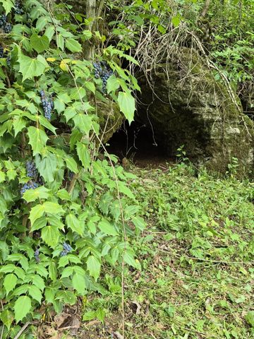 2203 Stones River Rd, Woodbury, TN 37190