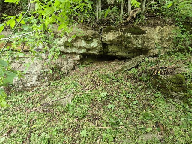 2203 Stones River Rd, Woodbury, TN 37190