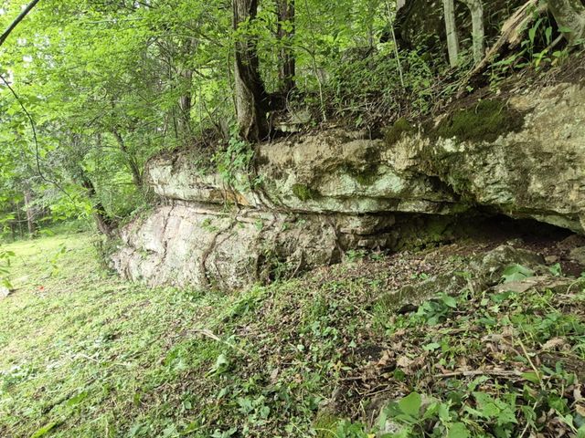 2203 Stones River Rd, Woodbury, TN 37190