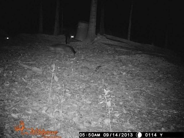 2203 Stones River Rd, Woodbury, TN 37190