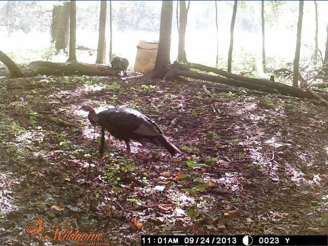 2203 Stones River Rd, Woodbury, TN 37190