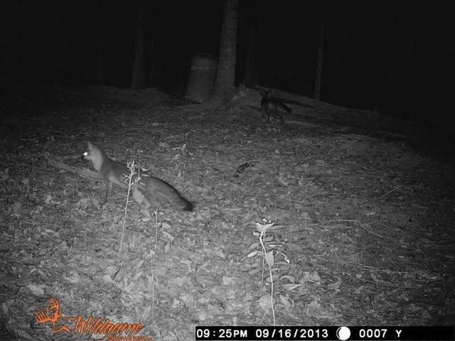 2203 Stones River Rd, Woodbury, TN 37190