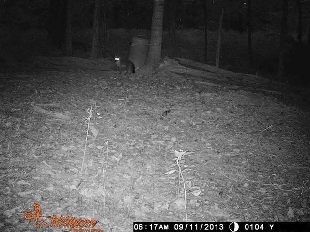 2203 Stones River Rd, Woodbury, TN 37190