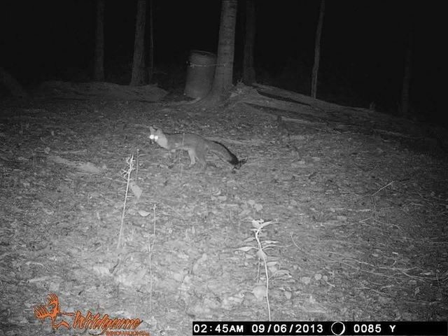 2203 Stones River Rd, Woodbury, TN 37190