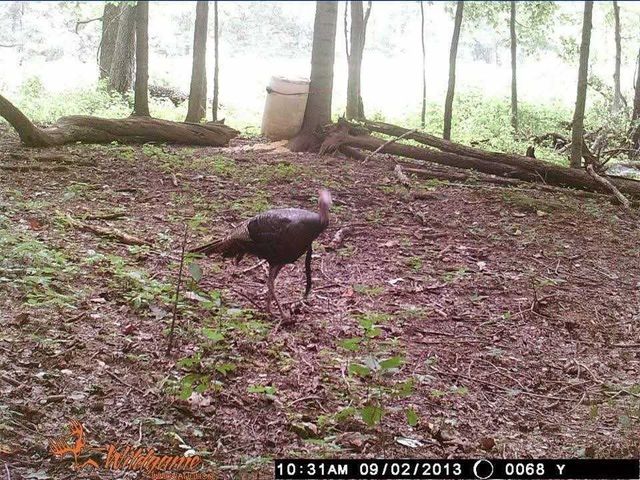 2203 Stones River Rd, Woodbury, TN 37190