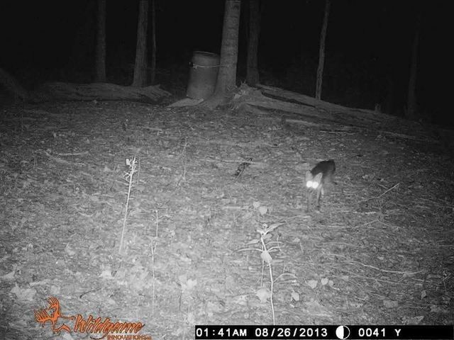 2203 Stones River Rd, Woodbury, TN 37190