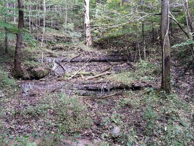 2203 Stones River Rd, Woodbury, TN 37190