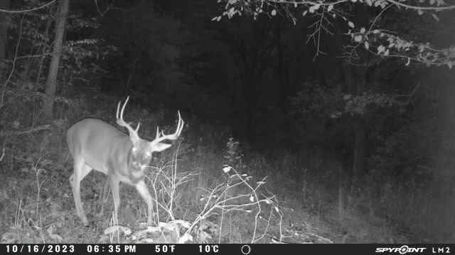 2203 Stones River Rd, Woodbury, TN 37190