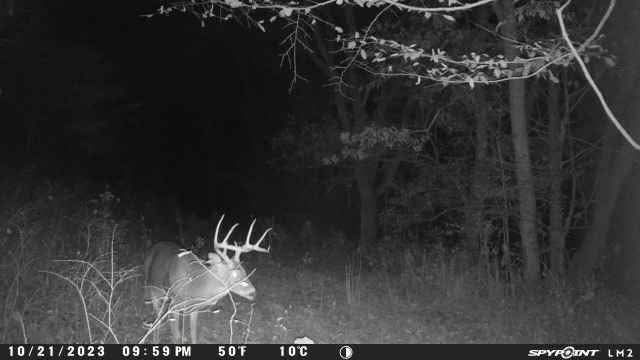 2203 Stones River Rd, Woodbury, TN 37190