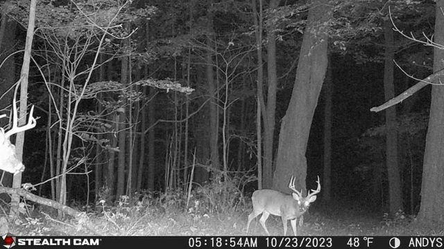 2203 Stones River Rd, Woodbury, TN 37190