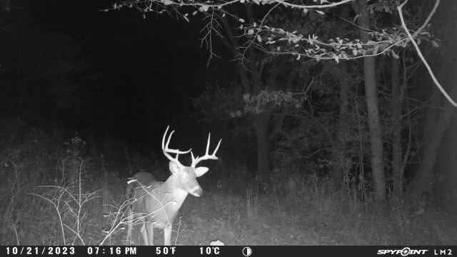 2203 Stones River Rd, Woodbury, TN 37190