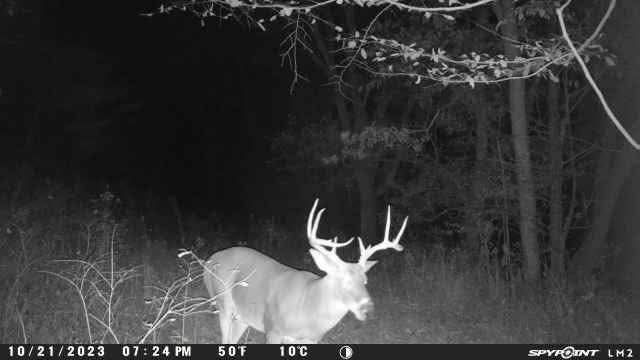 2203 Stones River Rd, Woodbury, TN 37190