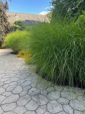 71 Kristin Drive, Marshall, MI 49068