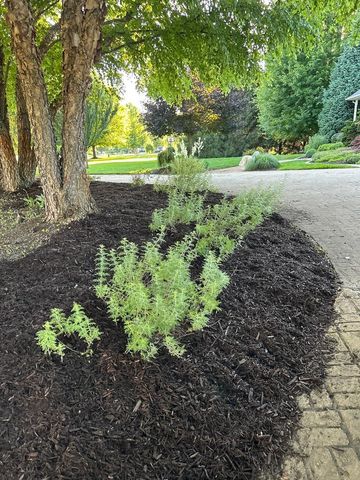 71 Kristin Drive, Marshall, MI 49068