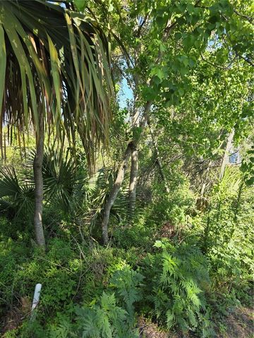 226 WALNUT AVENUE, Orange City, FL 32763
