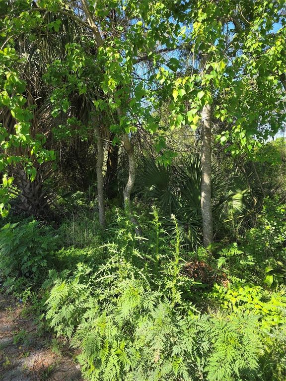 226 WALNUT AVENUE, Orange City, FL 32763