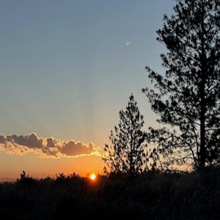 Tract I Meadow Ln, Davenport, WA 99122