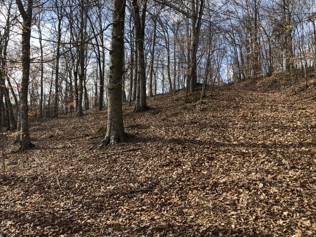 56 Hwy 49 W, Ashland City, TN 37015