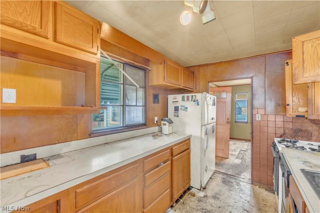 12518 Leeila Avenue, Cleveland, OH 44135
