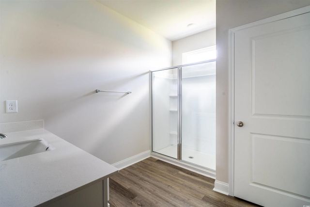 816 Hibernation Way, Conway, SC 29526