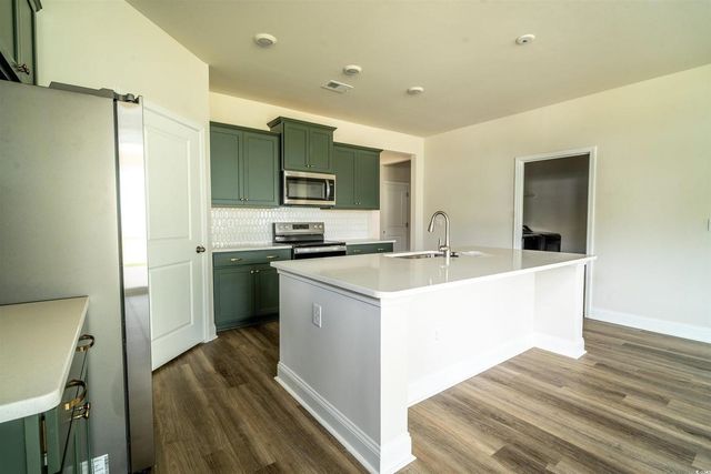 816 Hibernation Way, Conway, SC 29526